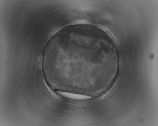 X0000093741233200711061016