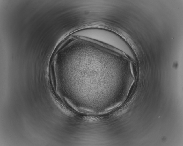 X0000093741234200711061016