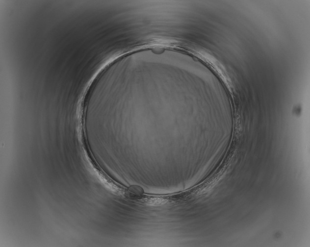 X0000093741235200711061016