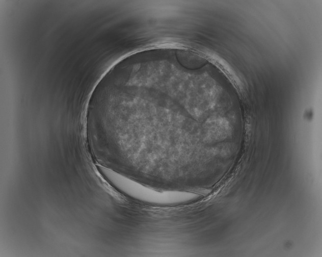 X0000093741236200711061016