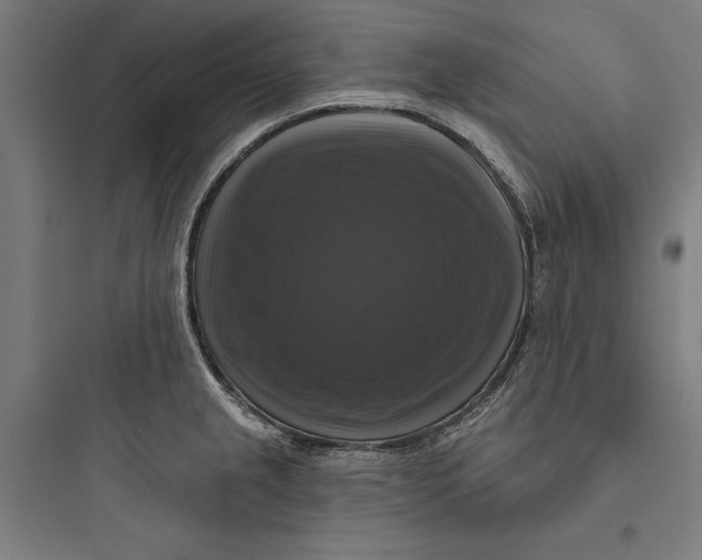 X0000093741237200711061016