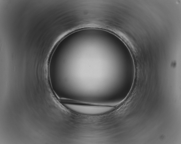 X0000093741238200711061016