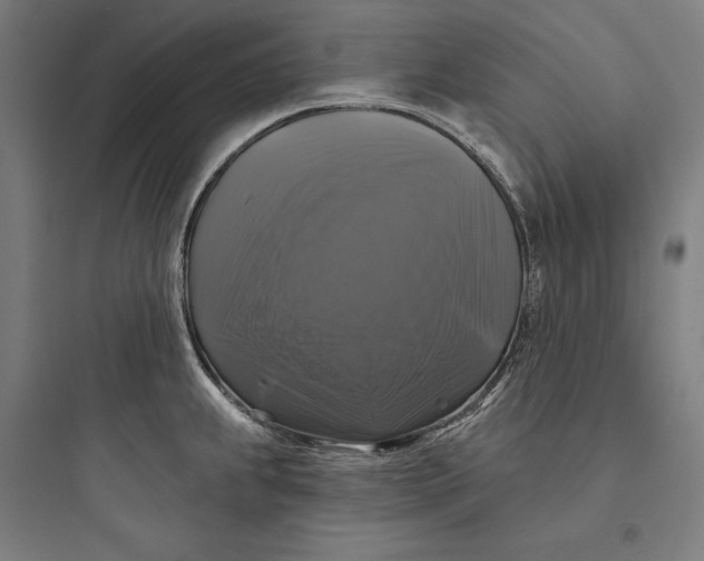 X0000093741239200711061016