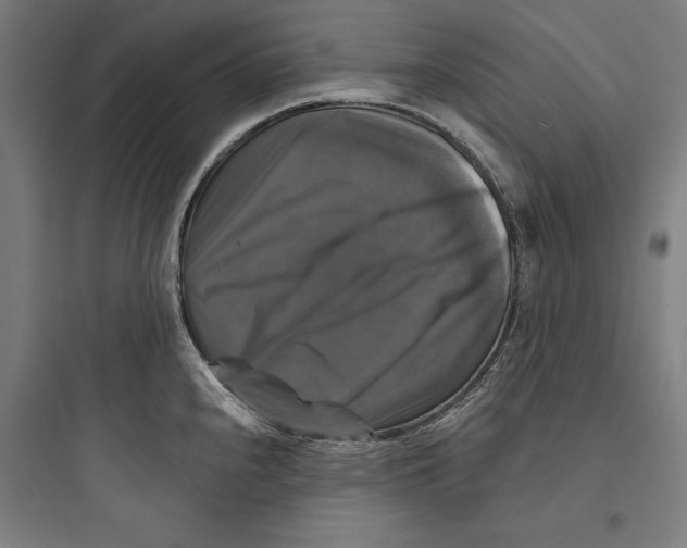 X0000093741240200711061016