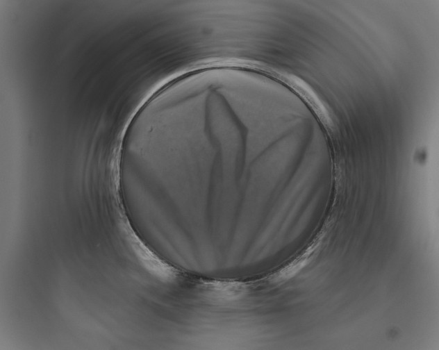 X0000093741244200711061016