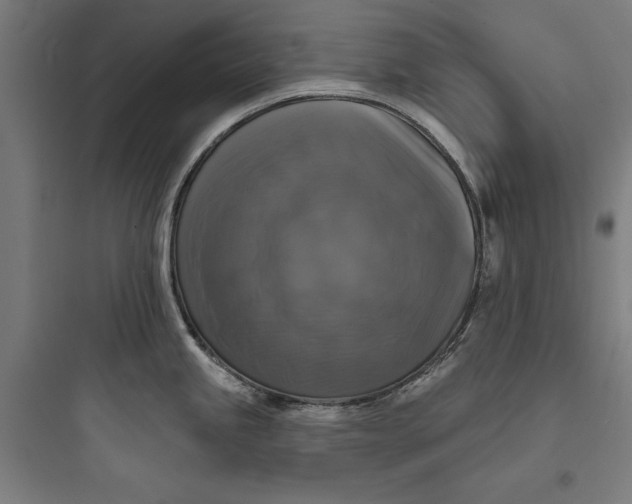 X0000093741245200711061016