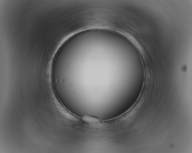 X0000093741246200711061016