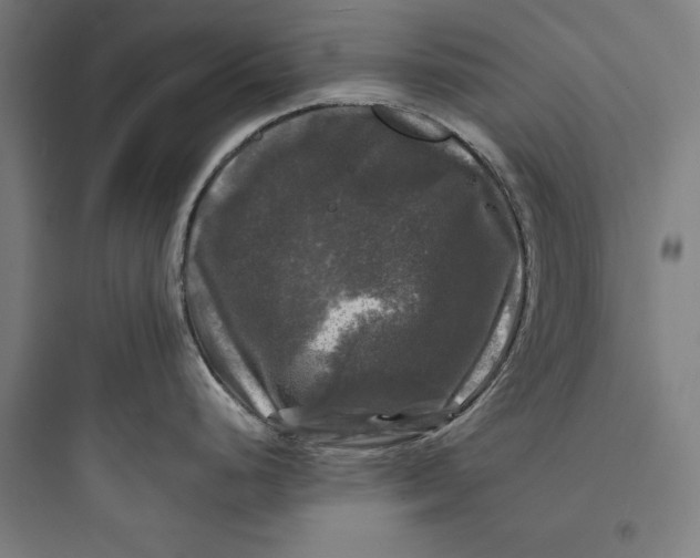 X0000093741248200711061016