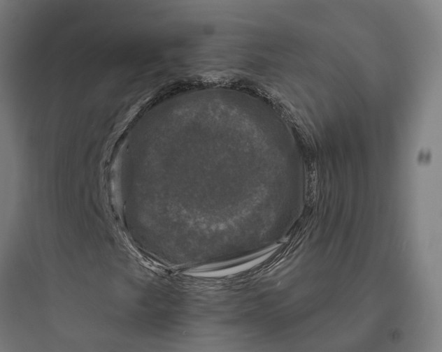 X0000093741249200711061015