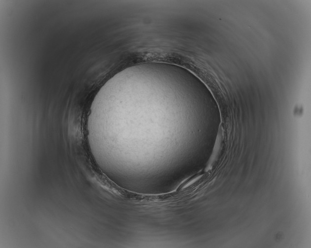 X0000093741250200711061015