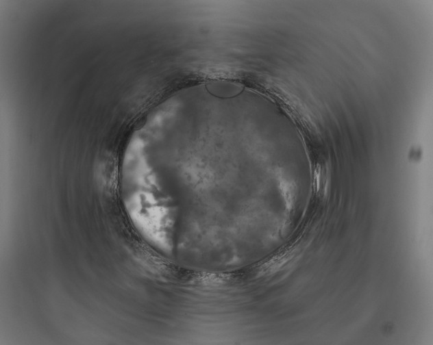 X0000093741251200711061015