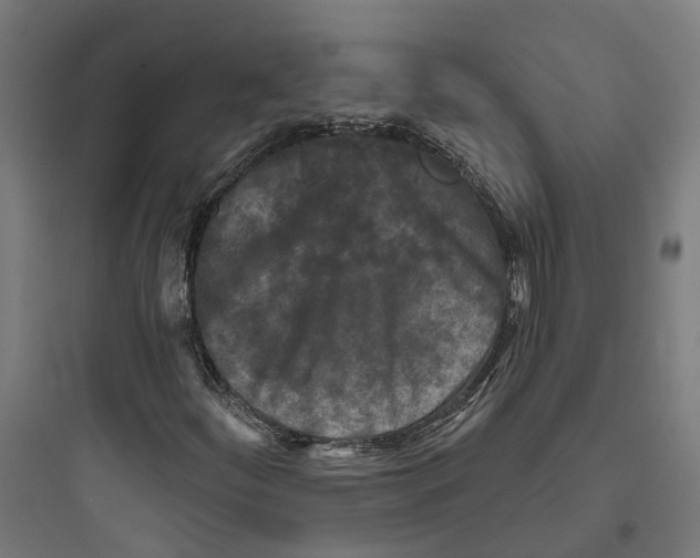 X0000093741252200711061015