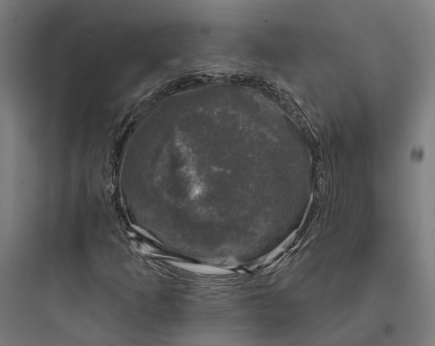 X0000093741253200711061015