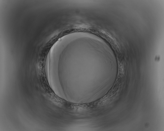 X0000093741254200711061015