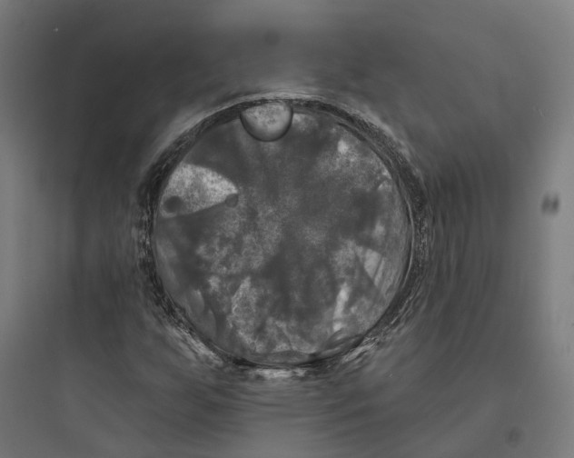 X0000093741255200711061015