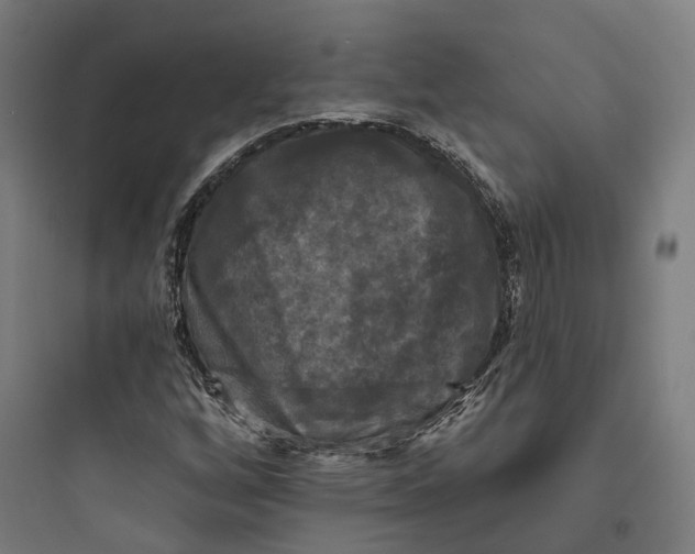 X0000093741256200711061015