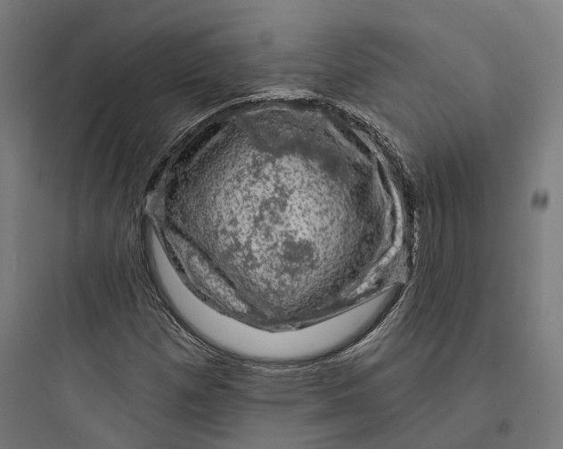 X0000093741257200711061015