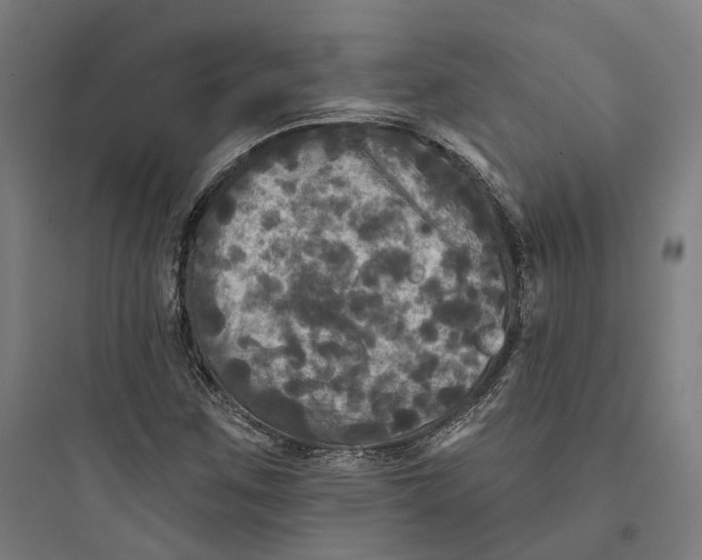 X0000093741259200711061015