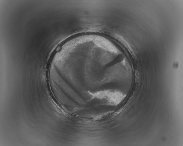 X0000093741260200711061015