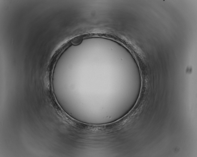 X0000093741262200711061015