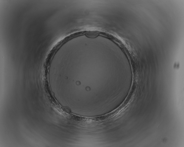 X0000093741263200711061015