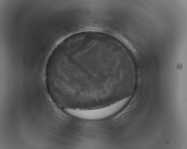 X0000093741264200711061015