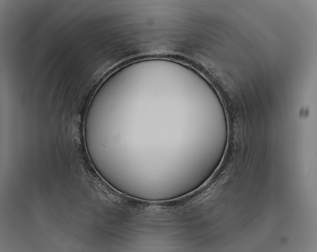 X0000093741265200711061015