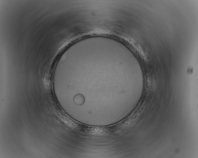 X0000093741266200711061015