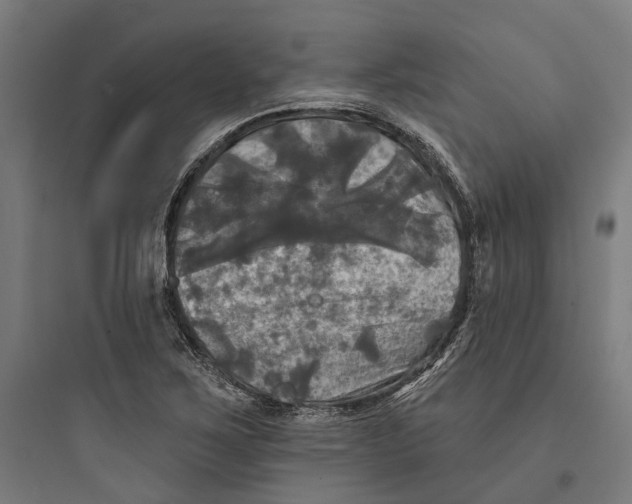 X0000093741267200711061015