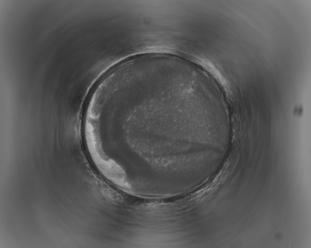 X0000093741268200711061015