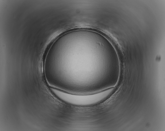 X0000093741269200711061015