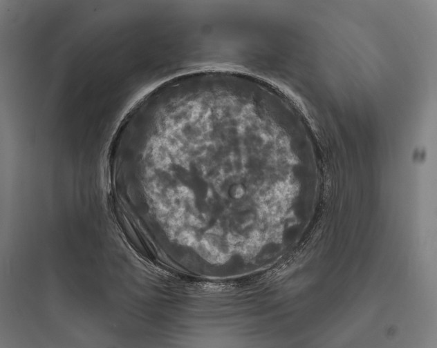 X0000093741271200711061015