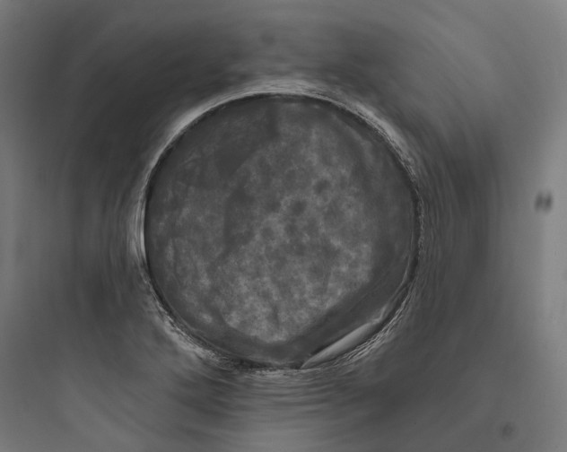 X0000093741272200711061015