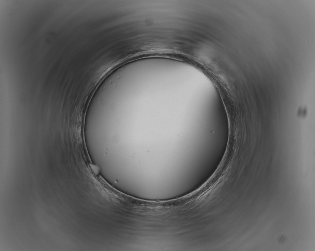 X0000093741273200711061015