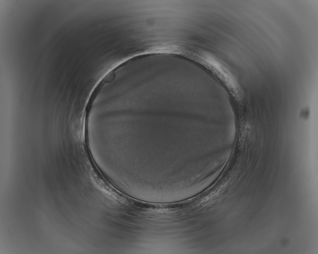 X0000093741276200711061015