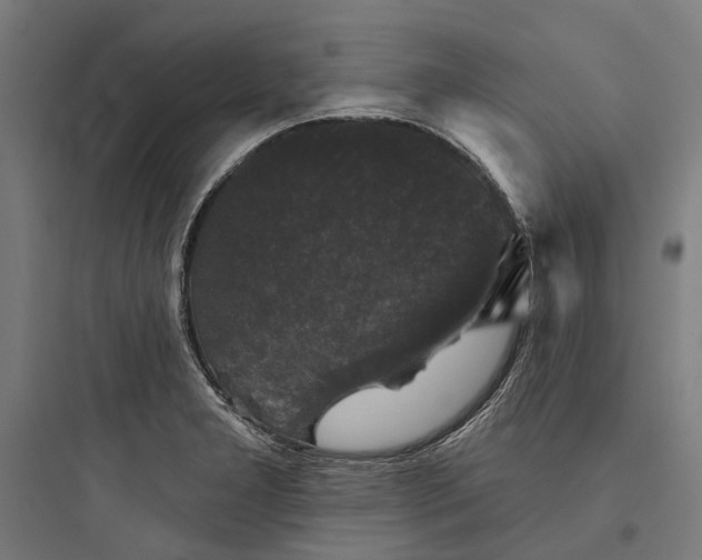 X0000093741277200711061015