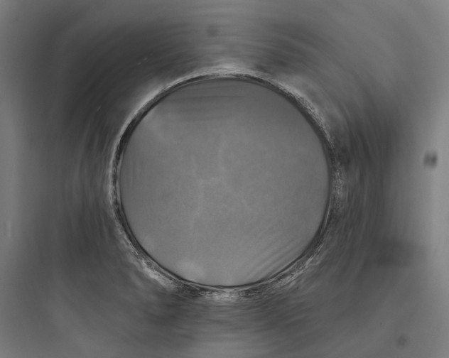 X0000093741278200711061015