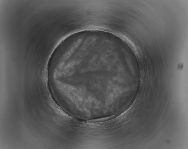 X0000093741280200711061015