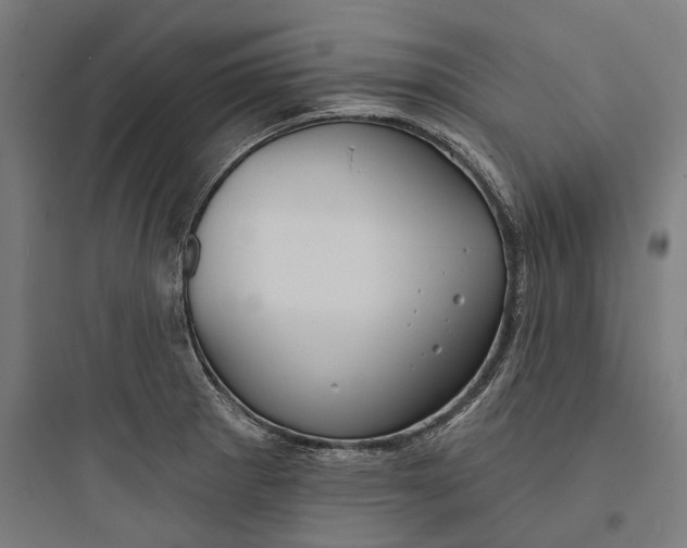 X0000093741281200711061015