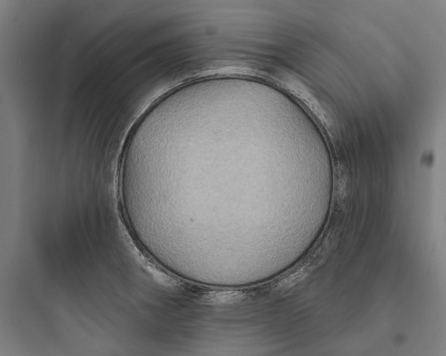 X0000093741282200711061015