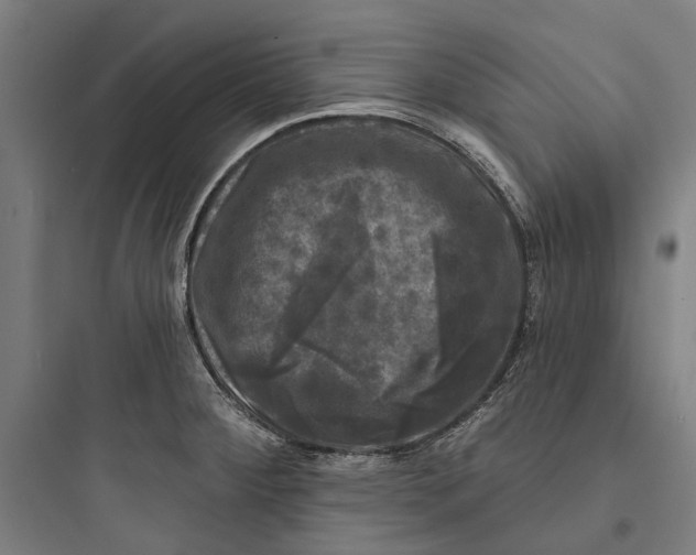 X0000093741284200711061015