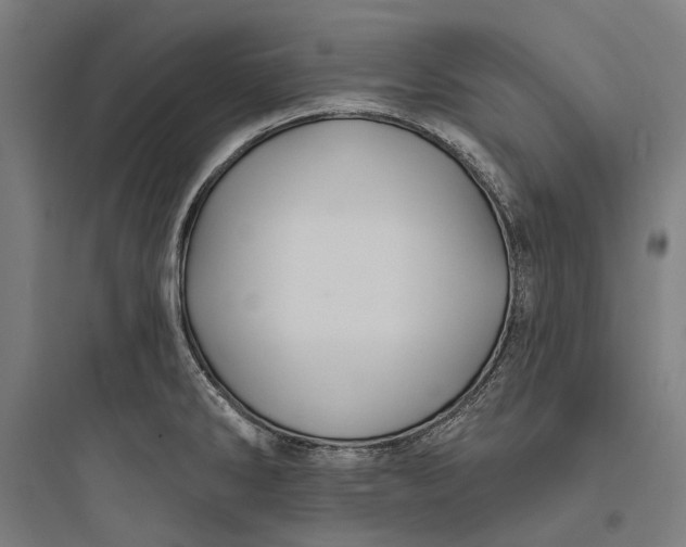 X0000093741286200711061015