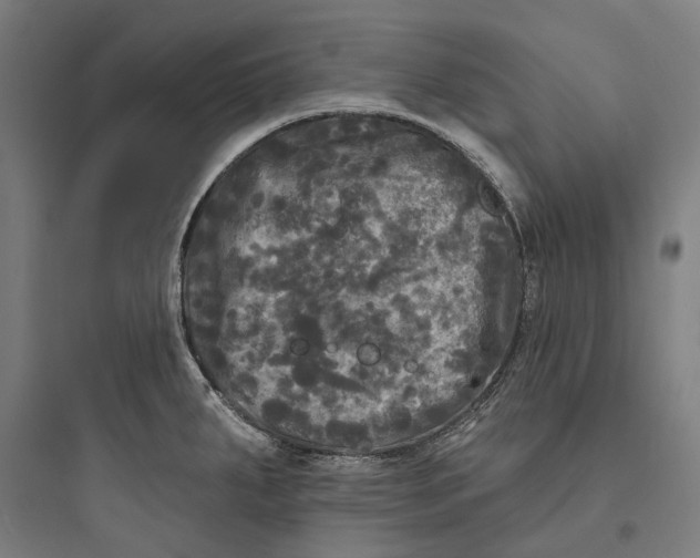 X0000093741287200711061015