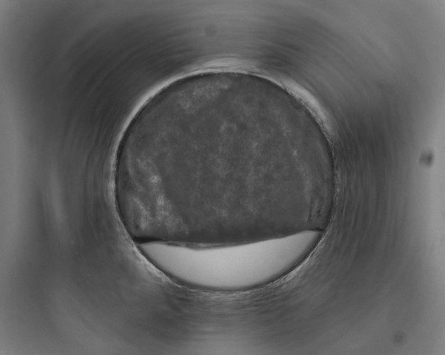 X0000093741288200711061015