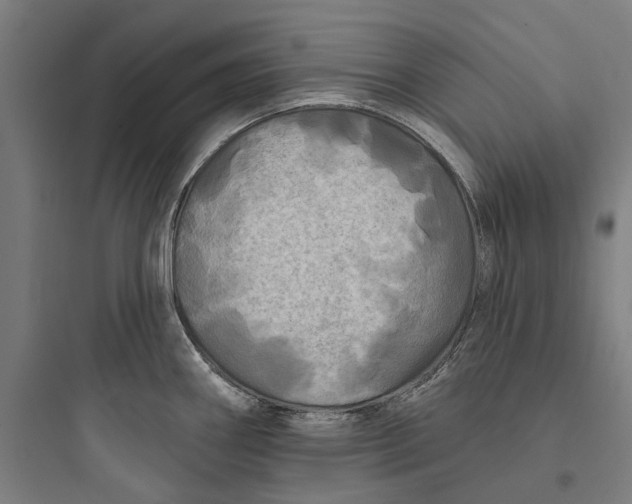 X0000093741290200711061015