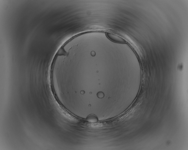 X0000093741291200711061015