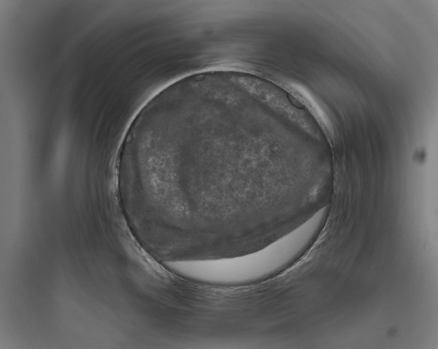 X0000093741292200711061015