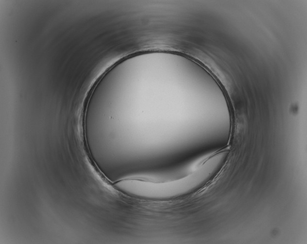 X0000093741293200711061015