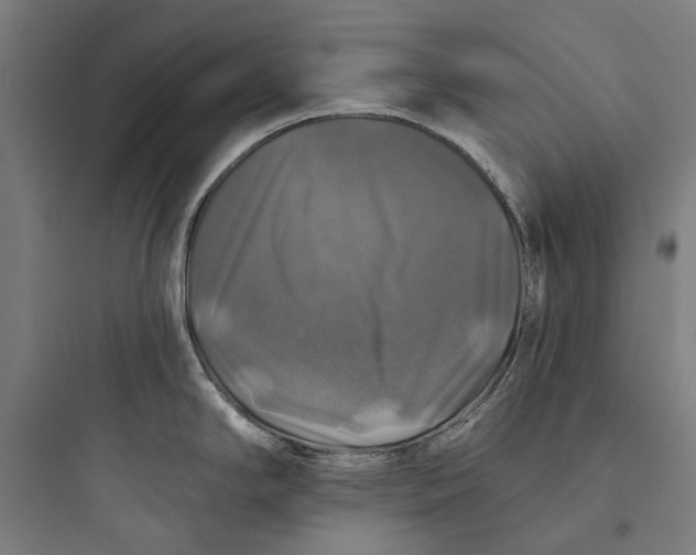 X0000093741294200711061015