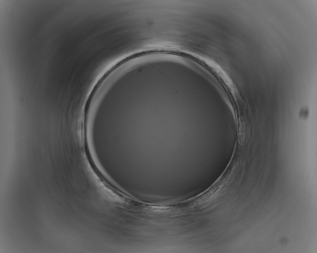 X0000093741295200711061015